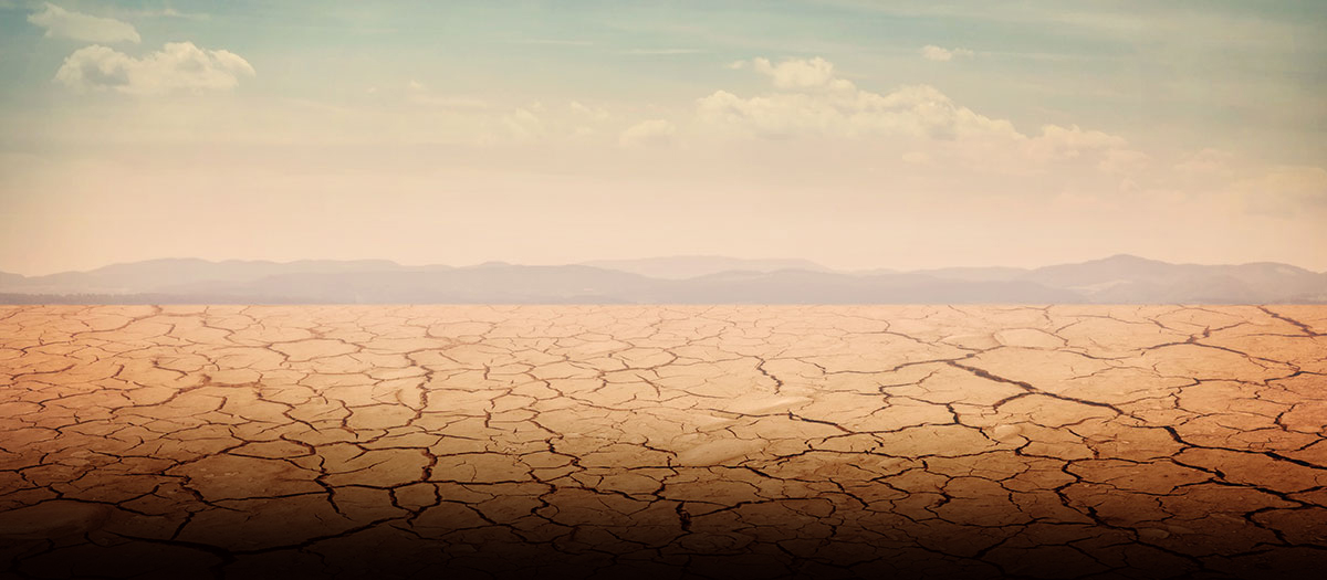 Cracked desert earth