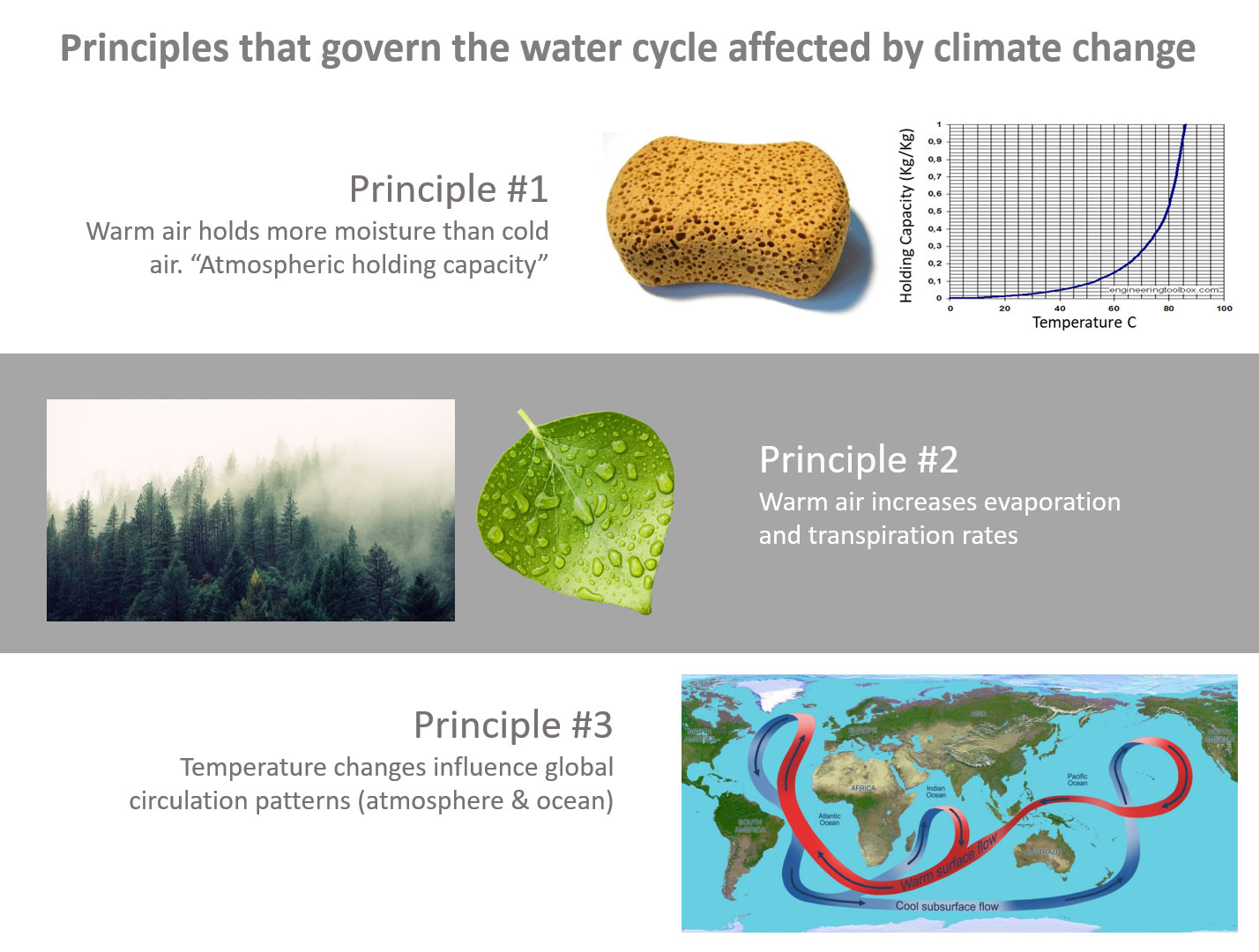 Graphic explains principles that govern the water cycle affected by climate change. Principle 1: Warm air holds more moisture than cold air. Principle 2: Warm air increases evaporation and transpiration rates. Principle 3: Temperature changes influence global circulation patterns (atmosphere and ocean).