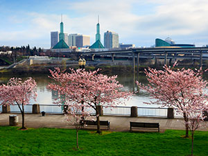 Tom McCall Waterfront Park in Portland, Oregon